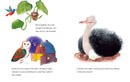 Opal's Springtime Birdhouse