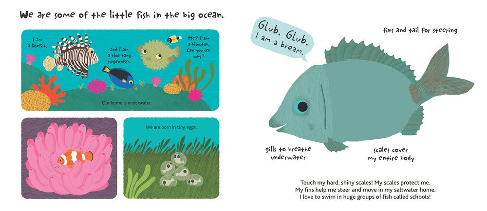 Touch and Explore: The Ocean