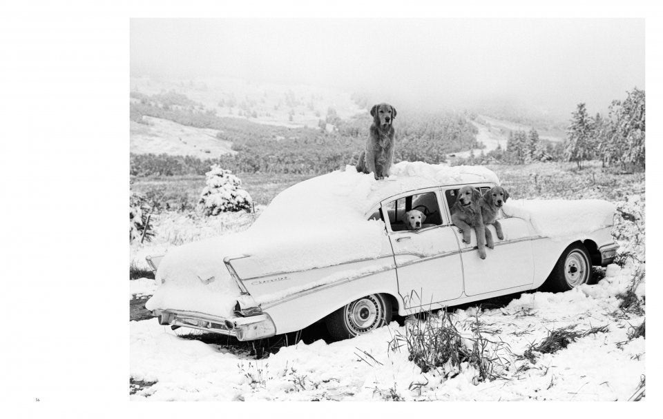 Bruce Weber. The Golden Retriever Photographic Society