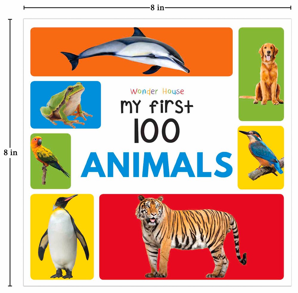 My First 100 Series Boxset